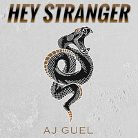 Aj Guel - Hey Stranger