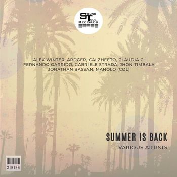 Various Artists - Summer Is Back