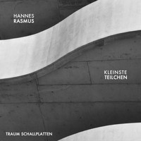 Hannes Rasmus - Kleinste Teilchen