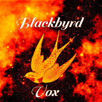 Blackbyrd Vox - Chase Those Stars