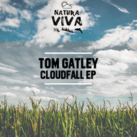 Tom Gatley - Cloudfall