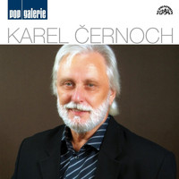 Karel Černoch - Pop Galerie