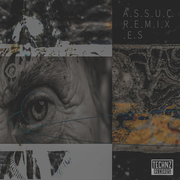 Various Artists - Assuc Remixes