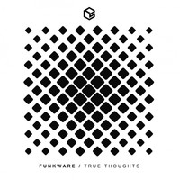 Funkware - True Thoughts