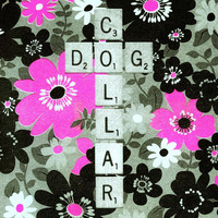 FBGM - Dog Collar