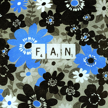 FBGM - Fan