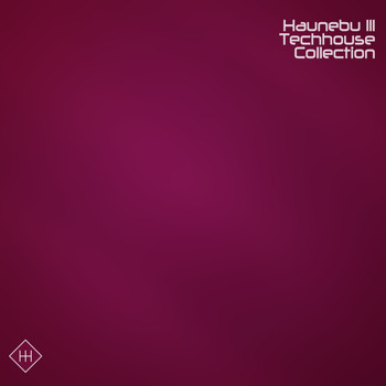 Various Artists - Haunebu III Techhouse Collection