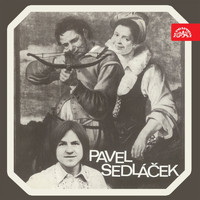 Pavel Sedláček - Pavel Sedláček