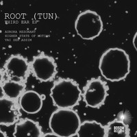 ROOT (TUN) - Third Ear EP