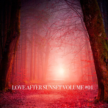 Various Artists - Love After Sunset, Vol. 01