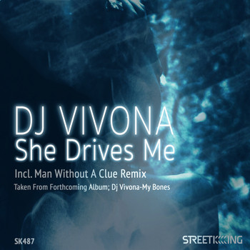 Dj Vivona feat. QUIN - She Drives Me