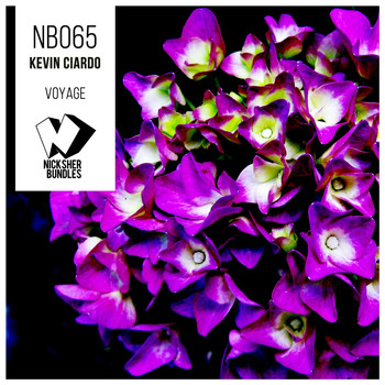 Kevin Ciardo - Voyage
