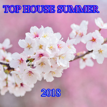 Various Artists - Top House Summer 2018