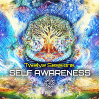 Twelve Sessions - Self Awareness