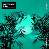 David Guetta & Sia - Flames (Acoustic)