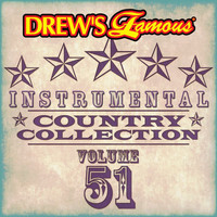 The Hit Crew - Drew's Famous Instrumental Country Collection (Vol. 51)