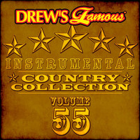 The Hit Crew - Drew's Famous Instrumental Country Collection (Vol. 55)