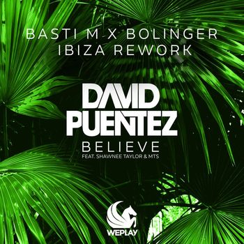 David Puentez - Believe (feat. Shawnee Taylor & MTS) (Basti M x Bolinger Ibiza Rework)