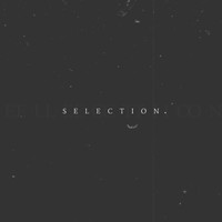 DYM - Selection