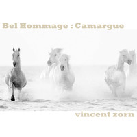 Vincent Zorn - Bel Hommage : Camargue