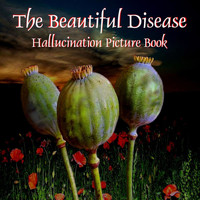 The Beautiful Disease - Hallucination Picture Book
