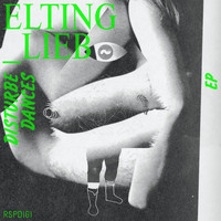 Elting_Lieb - Disturbedances