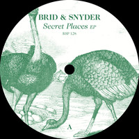 Brid & Snyder - Secret Places