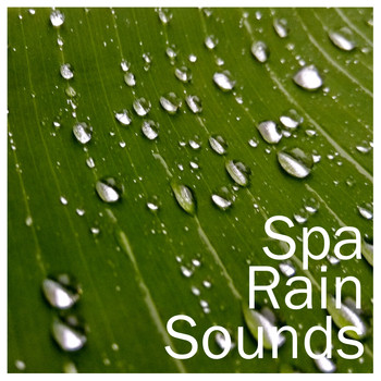 Sounds of Rain & Thunder Storms, Meditation & Stress Relief Therapy, Spa Music Paradise - 15 Stress Relieving Loopable Relaxation Rain Sounds for Spa