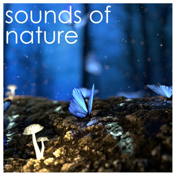 Rain Sound Studio, Rain and Nature, Relaxing Music Therapy - 2018 Rain Sounds: Relaxing Rain Sounds, Peace, Zen, Calm, Focus, Sleep