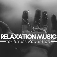 Specialists of Power Pilates - Relaxation Music for Stress Reduction, Meditation Sounds, Music Activities for Youth
