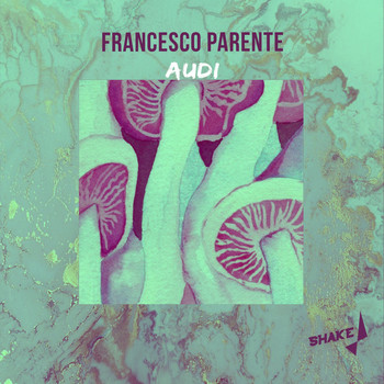 Francesco Parente - Audi