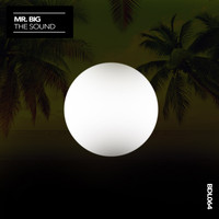 Mr. Big - The Sound