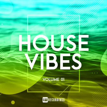 Various Artists - House Vibes, Vol. 01