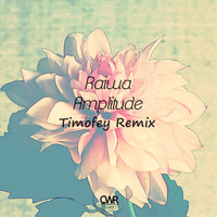 Raiwa - Amplitude (Timofey Remix)