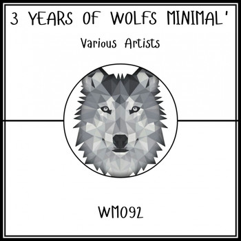 Various Artists - 3 Years Of Wolfs Minimal'