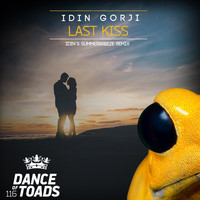 Idin Gorji - Last Kiss Remix