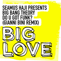 Seamus Haji Presents Big Bang Theory - Do U Got Funk? (Gianni Bini Remix)