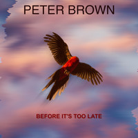 Peter Brown - Before It's Too Late