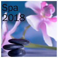 Sleep Sounds of Nature, Spa & Spa, Asian Zen Spa Music Meditation - 14 Sleep and Spa Nature Sounds