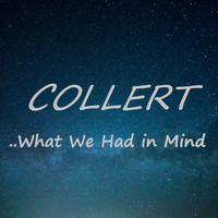 Collert - ..what We Had in Mind
