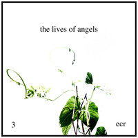 David Paul Mesler - The Lives of Angels 3