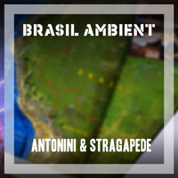 Antonini & Stragapede - Brasil Ambient