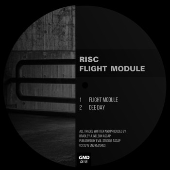 RISC - Flight Module