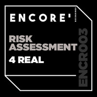 Risk Assessment - 4 Real