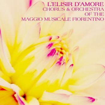 Chorus Of The Maggio Musicale Fiorentino, Francesco Molinari-Pradelli and Orchestra Maggio Musicale Fiorentino - L'Elisir D'Amore