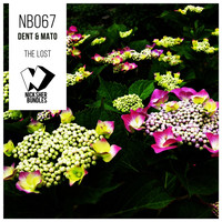 Dent & Mato - The Lost