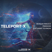 Teleport-X - Bosque Magico