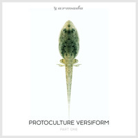 Protoculture - Versiform (Part One)
