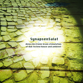 Various Artists - SynapsenSalat (Deep Electronic Brain Stimulation of Dub Techno House and Ambient)