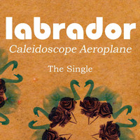 Labrador - Caleidoscope Aeroplane